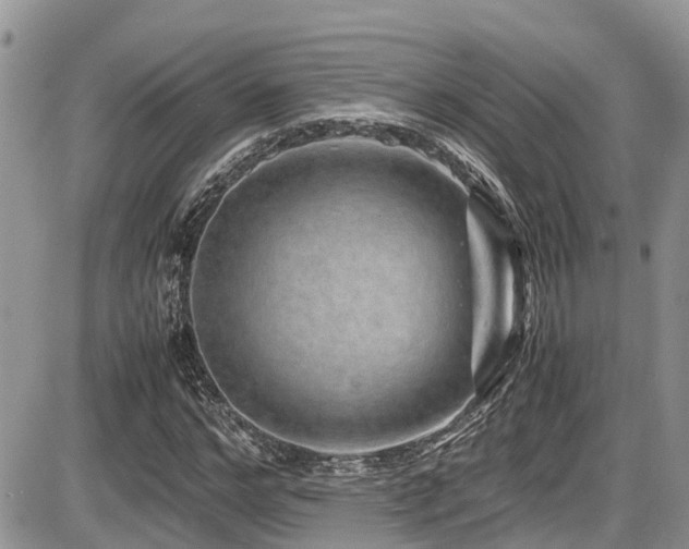 X0000086090968200703231426