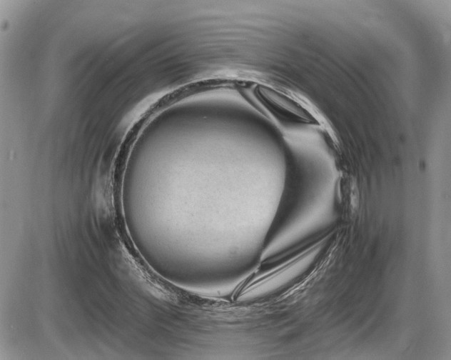 X0000086090972200703231426