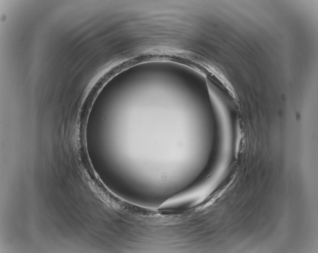 X0000086090976200703231426