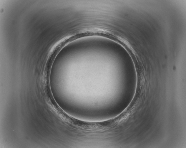 X0000086090979200703231426