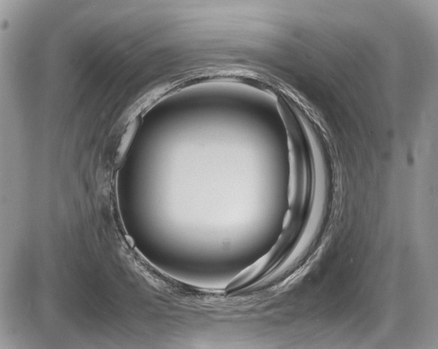 X0000086090985200703231426