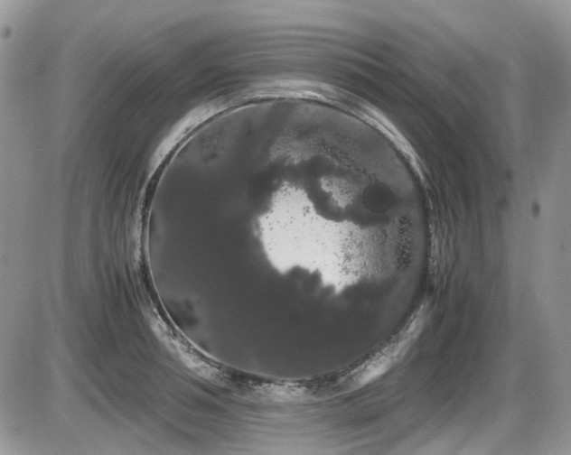 X0000086090994200703231426