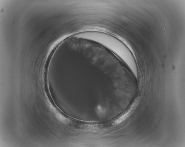 X0000086090995200703231426