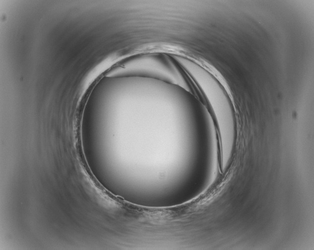 X0000086090997200703231425