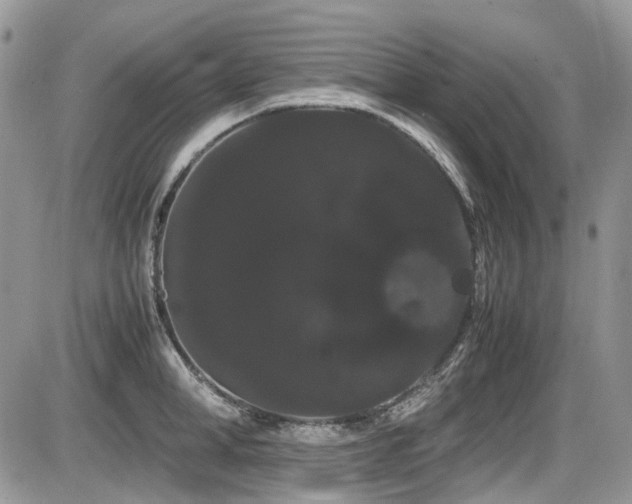 X0000086090998200703231425