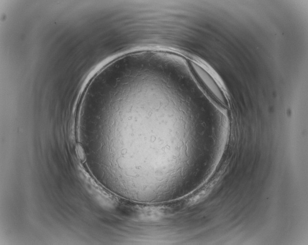 X0000086091004200703231425
