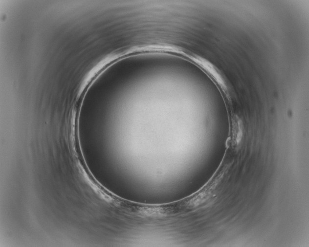 X0000086091006200703231425