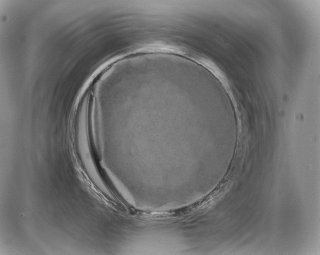 X0000086091008200703231425