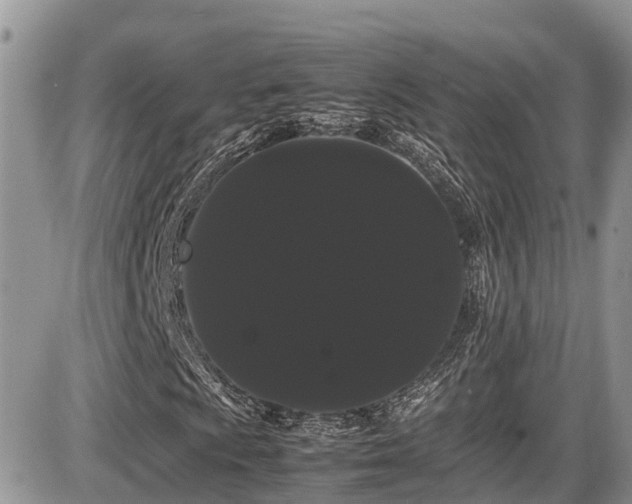 X0000086091009200703231424