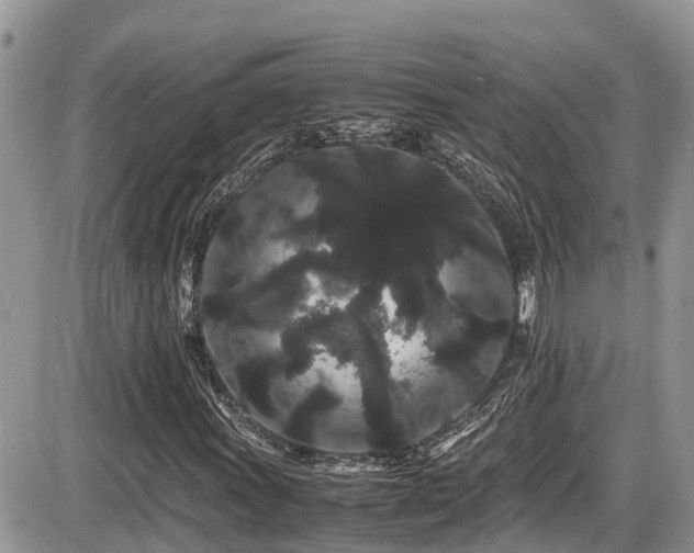 X0000086091011200703231425