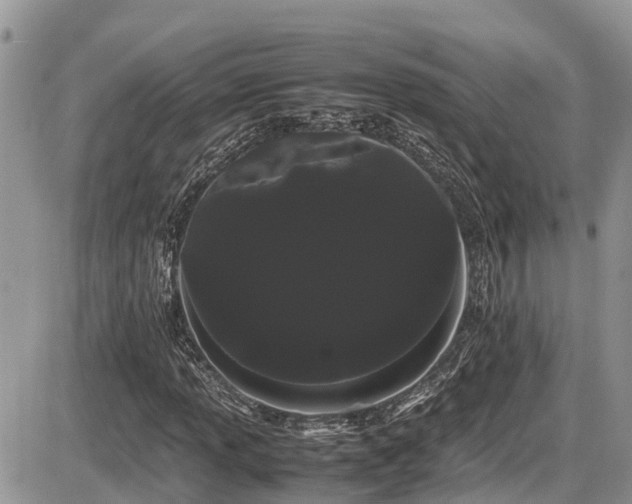 X0000086091013200703231425