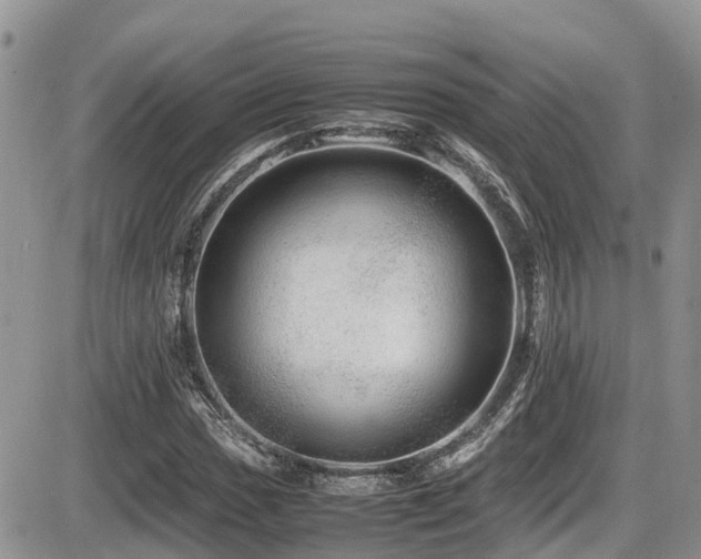 X0000086091017200703231425