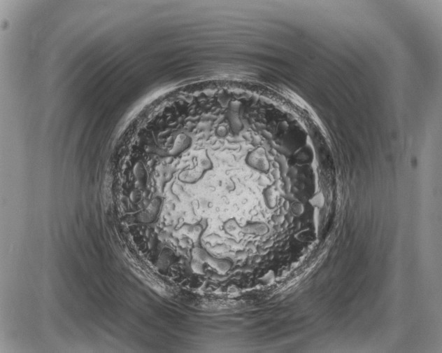 X0000086091019200703231425