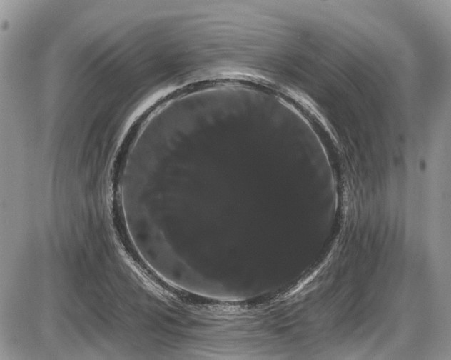 X0000086091024200703231425