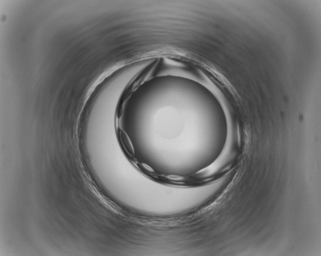X0000086091026200703231425