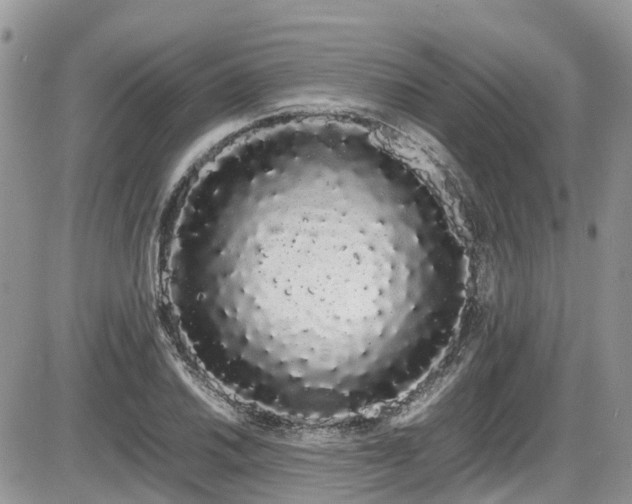 X0000086091030200703231425