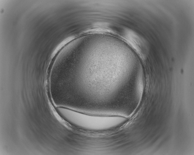 X0000086091042200703231425