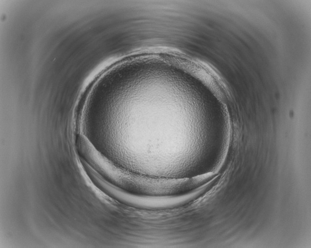 X0000086091046200703231425