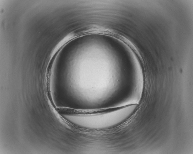 X0000086091050200703231425