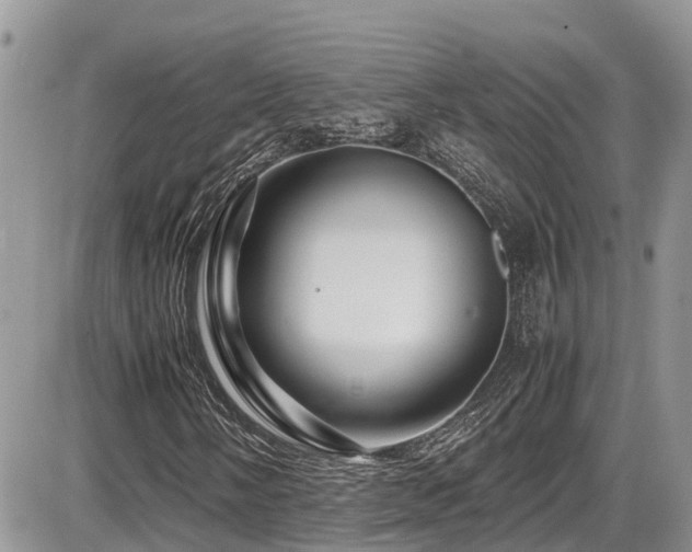 X0000086091058200703231424