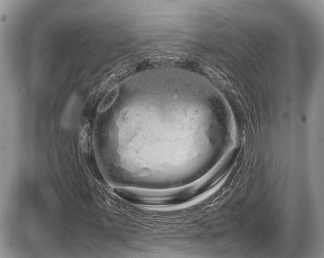 X0000086091059200703231424