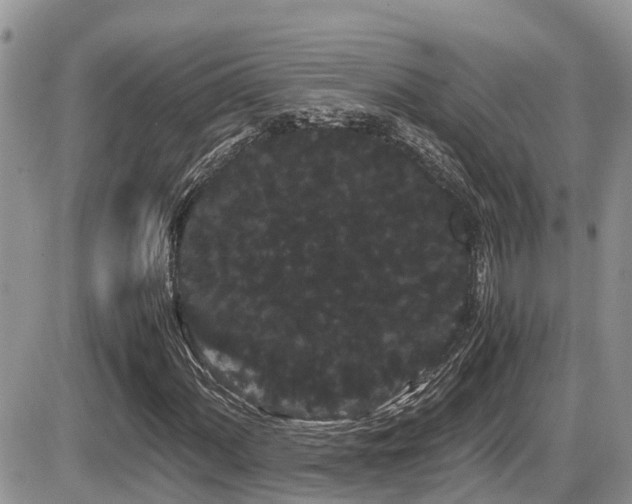 X0000086091060200703231424