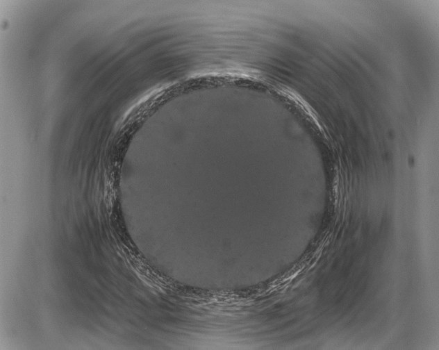 X0000086091064200703231424