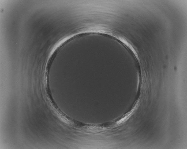 X0000086091077200703231424