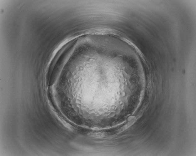 X0000086091083200703231424