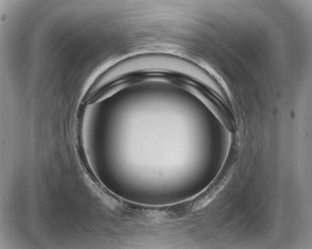 X0000086091085200703231424