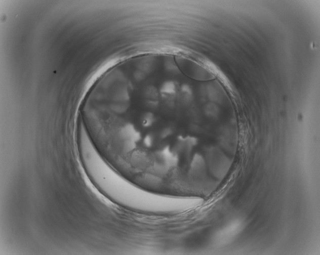 X0000086091095200703231424