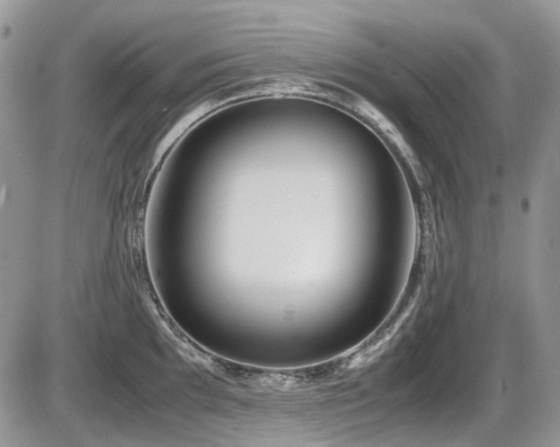 X0000086091097200703231424