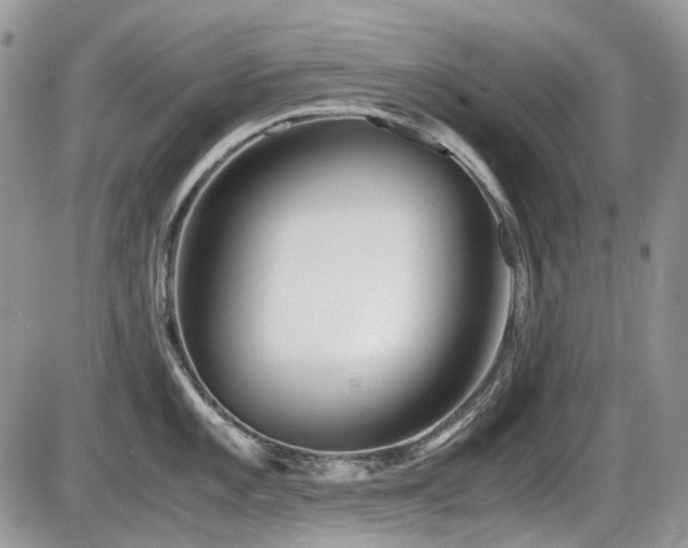 X0000086091101200703231424