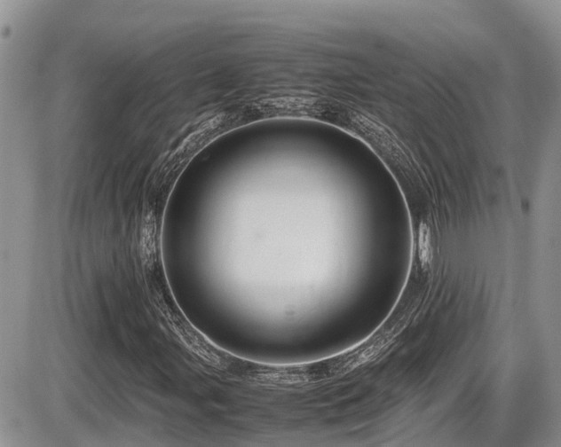 X0000086091107200703231423