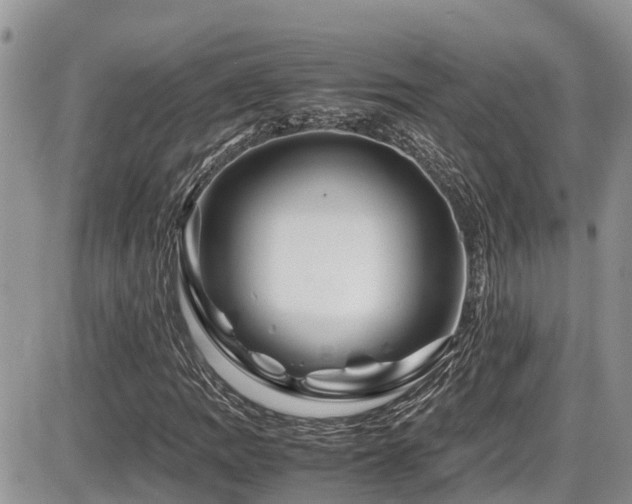 X0000086091109200703231423