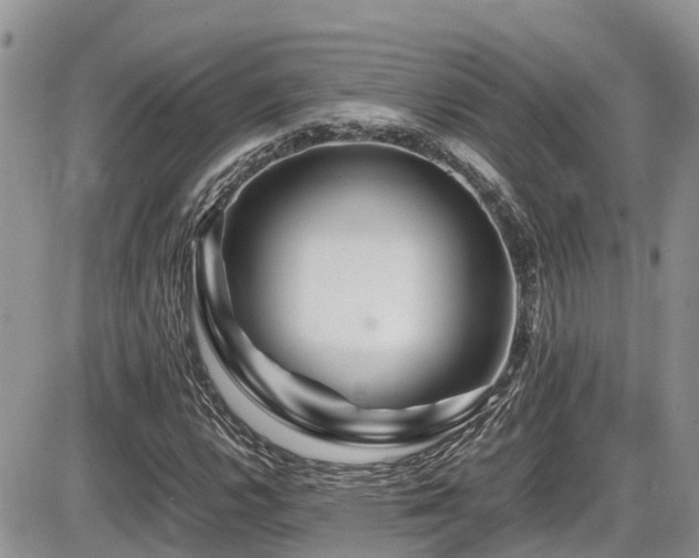X0000086091112200703231423