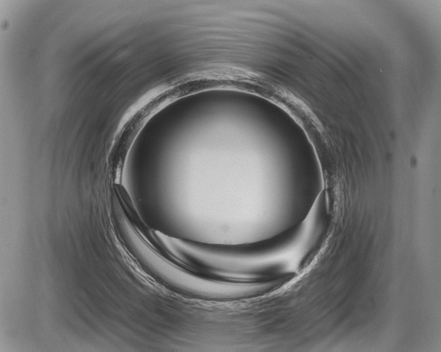 X0000086091114200703231423
