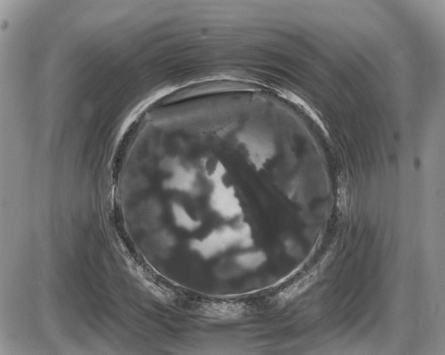 X0000086091117200703231423