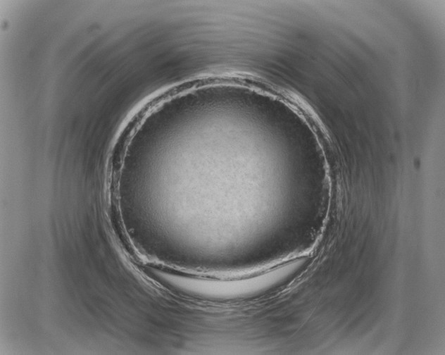 X0000086091124200703231423