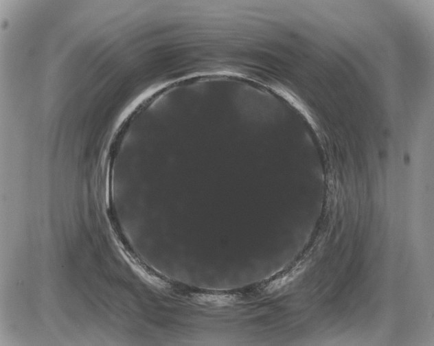 X0000086091127200703231423