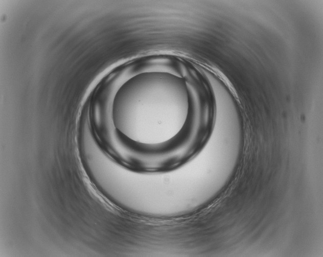 X0000086091132200703231423
