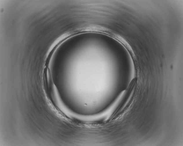 X0000086091138200703231423