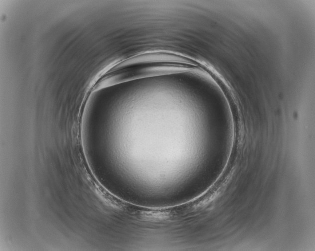 X0000086091145200703231424