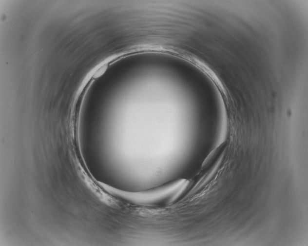 X0000086091148200703231424