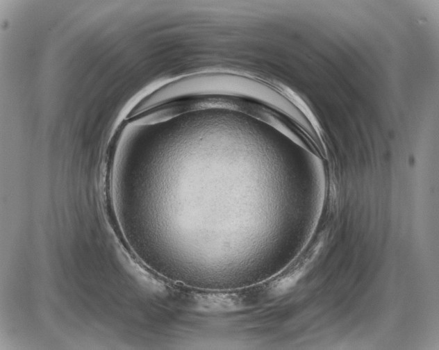 X0000086091149200703231424