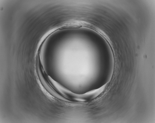 X0000086091152200703231424