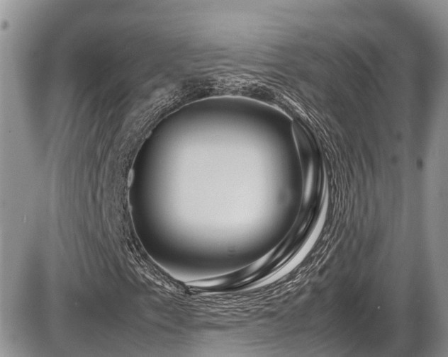 X0000086091153200703231423