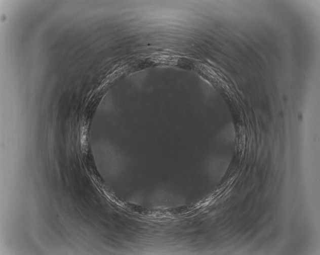 X0000086091154200703231423