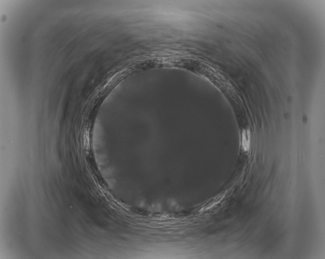 X0000086091155200703231423