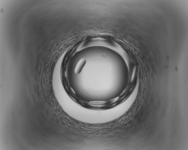 X0000086091157200703231423